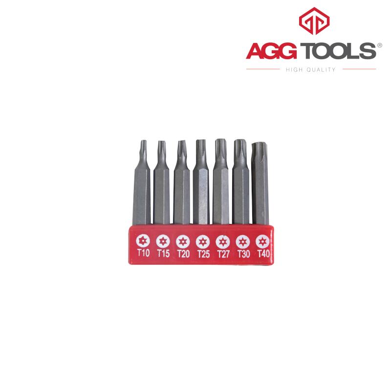 PUNTAS TORX 2